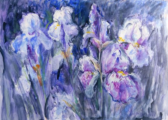 Flower power - Nighttime Irises #5