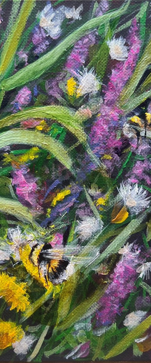 Summer Verge by Sarah Stowe