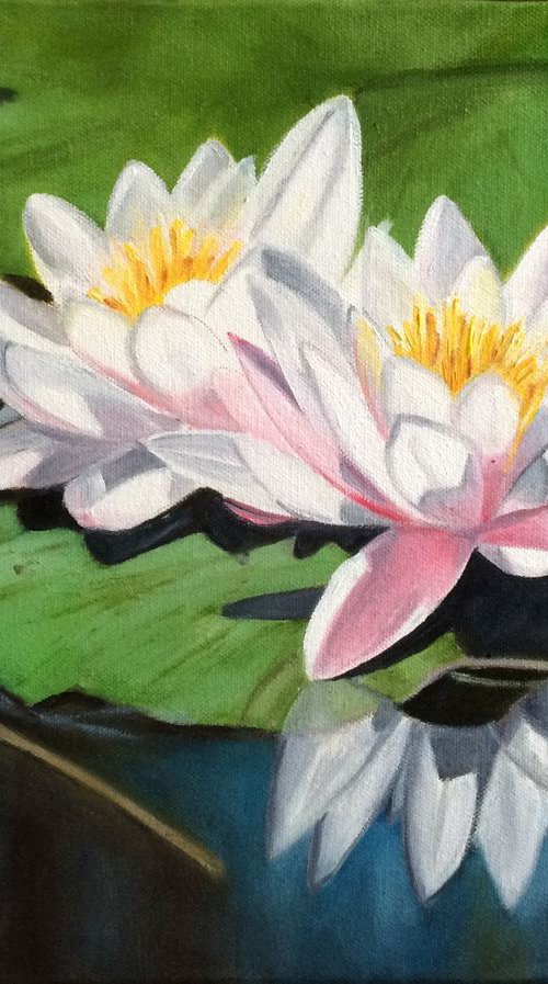 Water lilies by Ira Whittaker