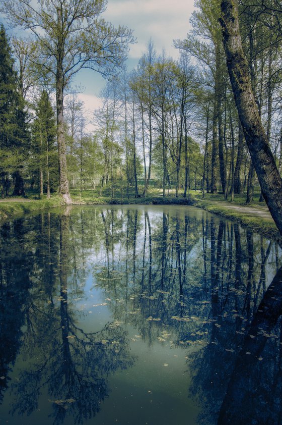 The silence of a spring pond