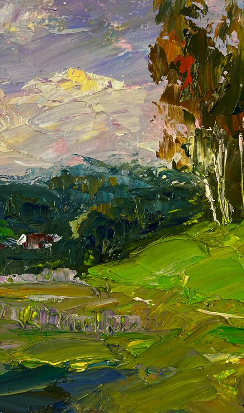 Birch Grove in the Light of the Morning Sun by Boris Serdyuk