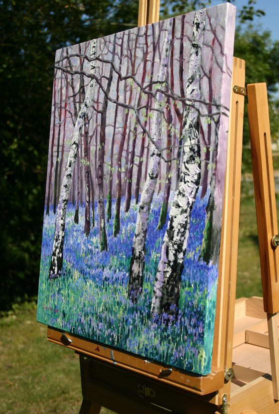 Bluebells and Birch Trees