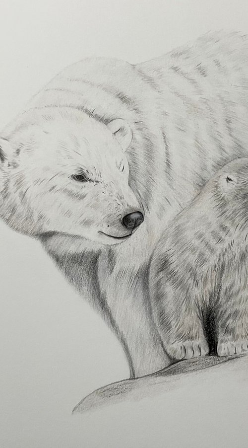 Polar bears by Bethany Taylor