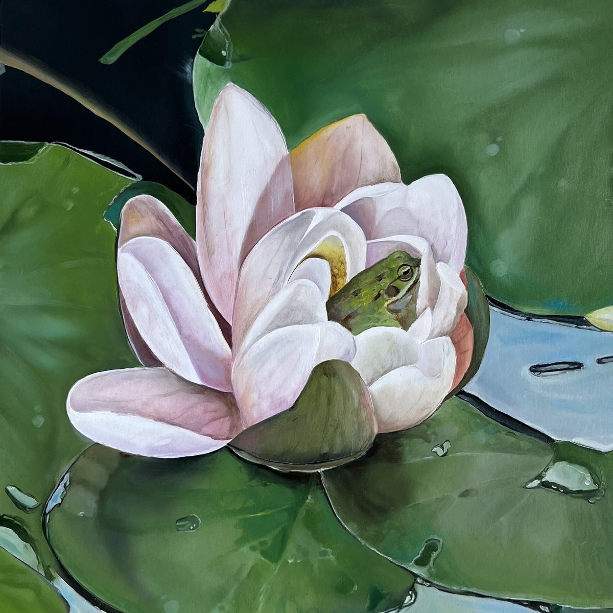Photorealistic Botanical Oil Painting By Myroslava Denysyuk, 12 X 12", Frog And Lotus, Original Artwork