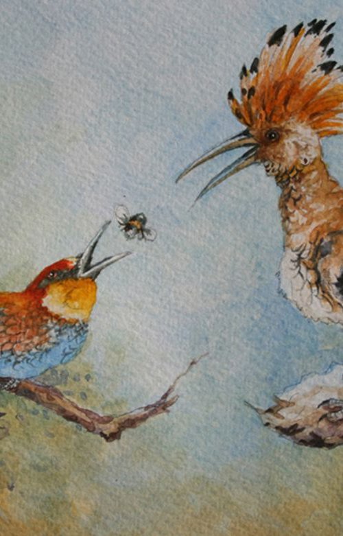 Hoopoe and the Bee - eater by Christopher Hughes