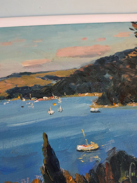 Salcombe Estuary from Overbeck's