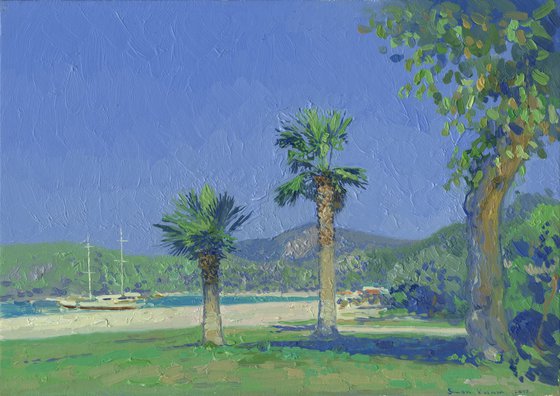 The palms. Oludeniz