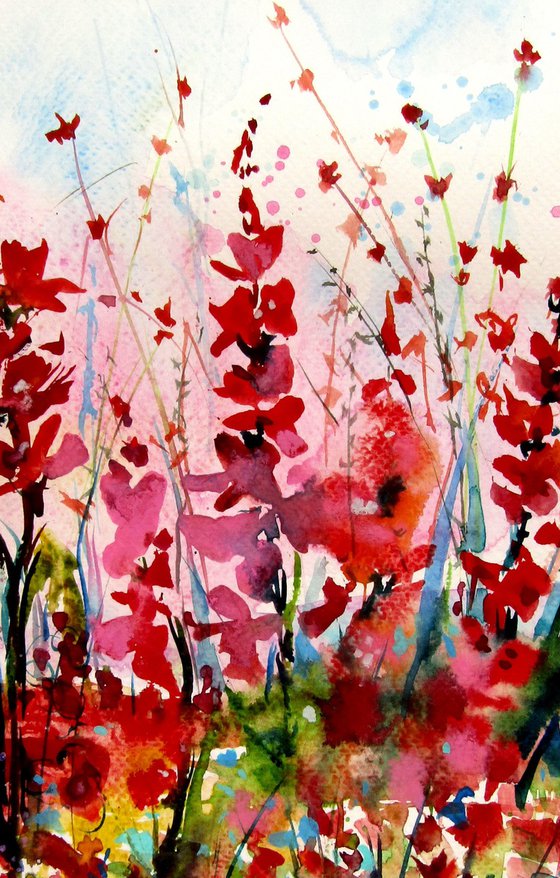 Summer wildflowers