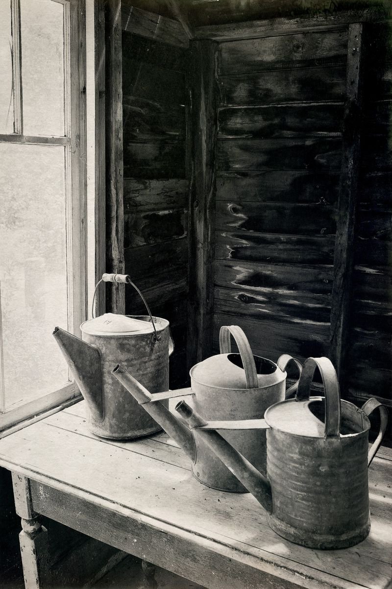 Three Watering Cans by Robert Tolchin