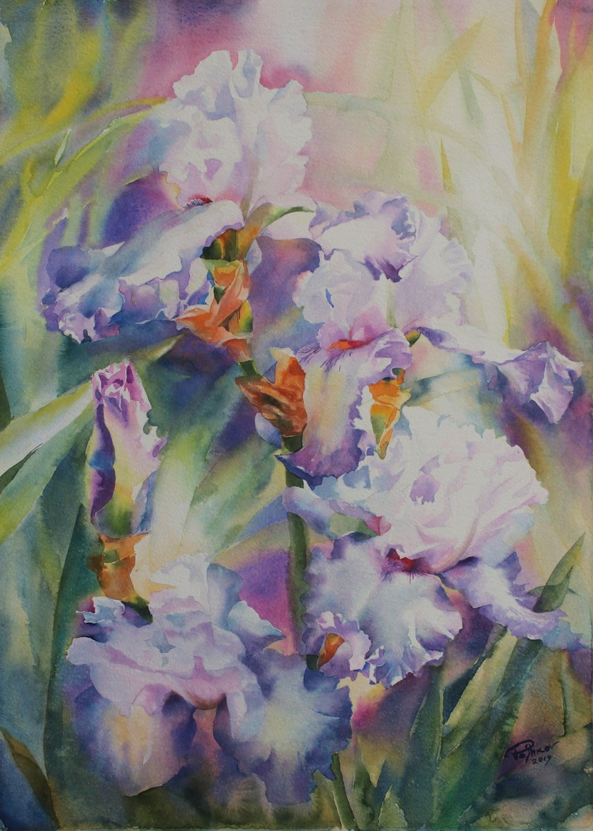 Impressionistic Botanical Watercolour By Yurii Pashkov, 22 X 30", Delicate Irises, Original Artwork