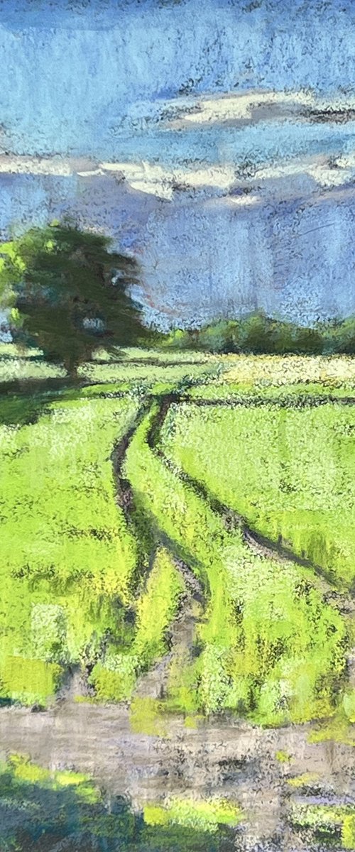 Green field by Louise Gillard