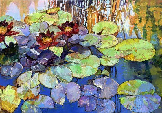 Water Lilies