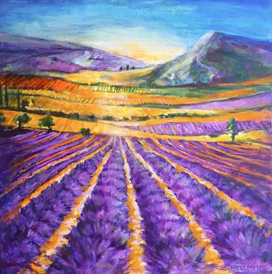 Lavender Fields in France