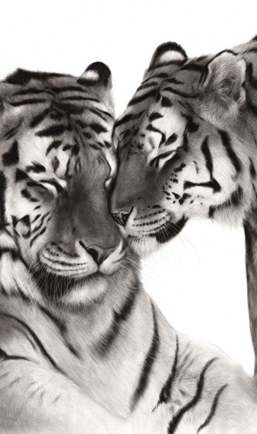 Tigers by Danguole Serstinskaja