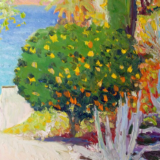 Coastal Landscape, California