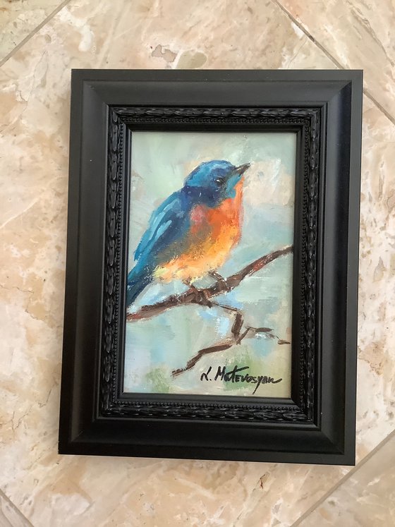 Bluebird