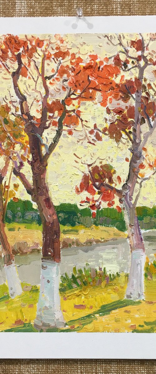 Landscape 262 by jianzhe chon