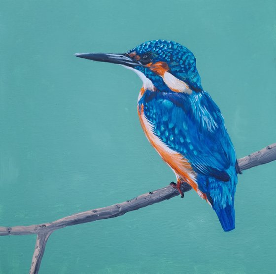 Kingfisher in Spring