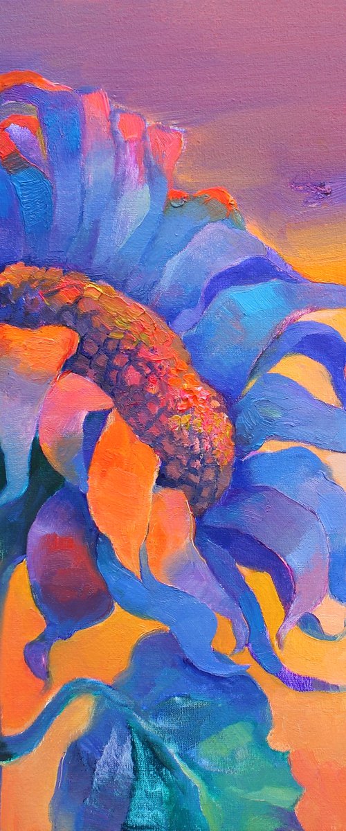 Evening of Sunflower by Anastasiia Grygorieva