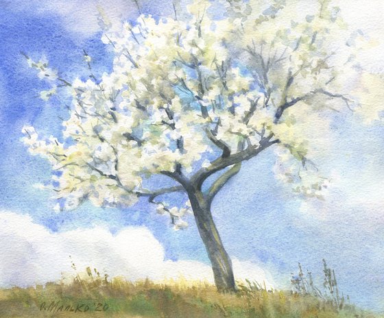To the sky, to the clouds... / Tree and sky. Blossoming plum tree. Blue white watercolor