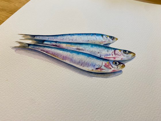 Sardines painting