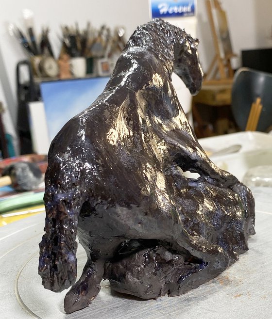 Equus