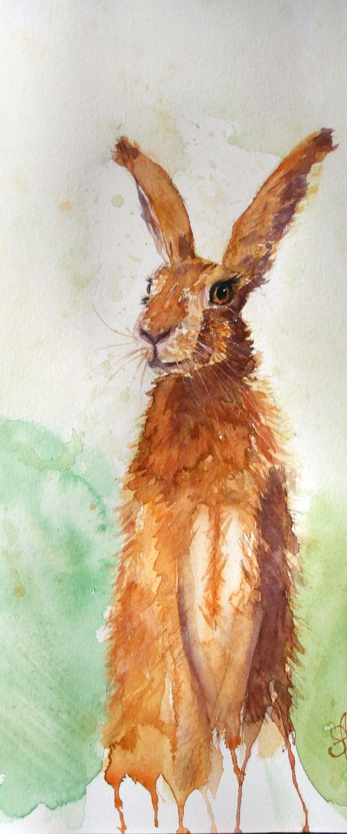 Rabbit I /  ORIGINAL PAINTING by Salana Art / Svetlana Samovarova