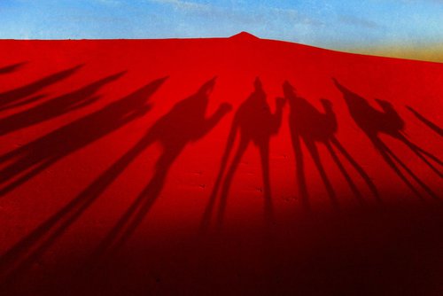 Saharan Camel shadows by Louise O'Gorman