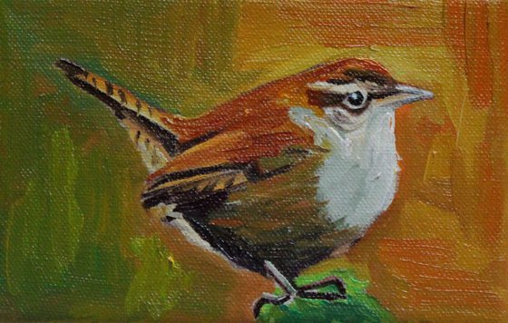 Jenny Wren #1