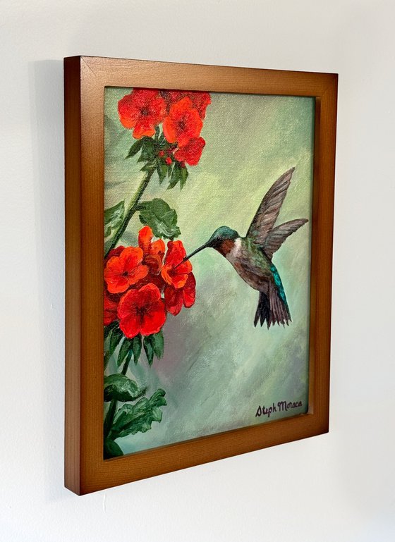 Hummingbird Happiness