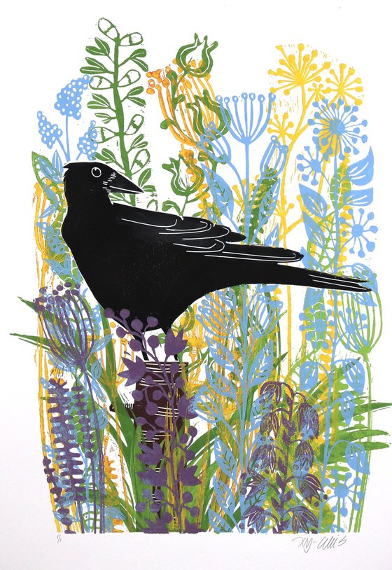 Crows Summer