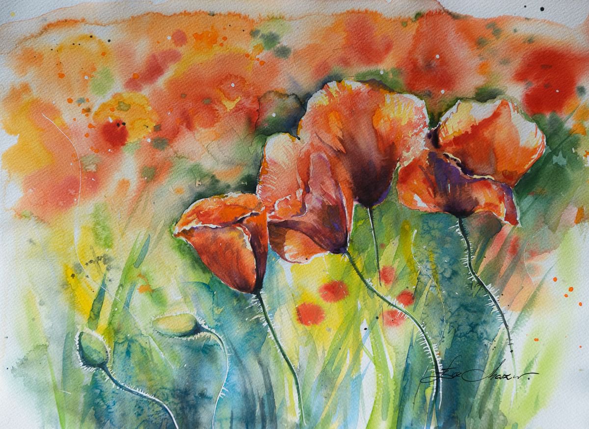 Impressionistic Botanical Watercolour By Eve Mazur, 18 X 13, Red Poppies, Original Artwork
