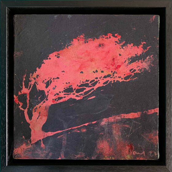 Pink Hawthorn (framed)