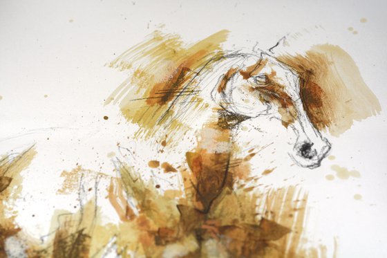 Equine nude 270