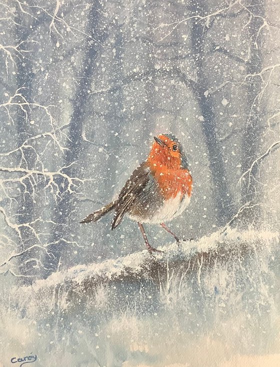 Winter Red Robin