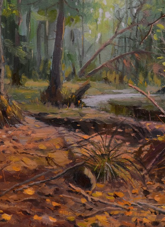 IN THE FOREST WILDERNESS