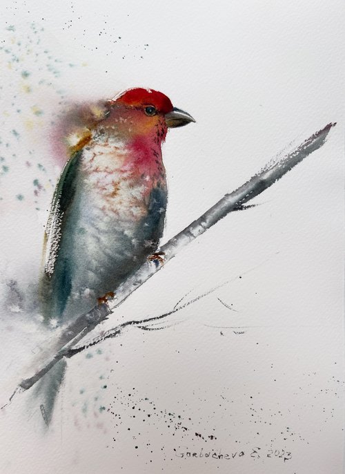 Red bird #2 by Eugenia Gorbacheva