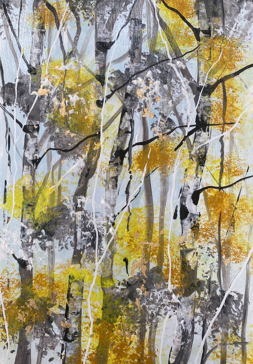 Autumn Silver Birch Trunks 2 by Teresa Tanner