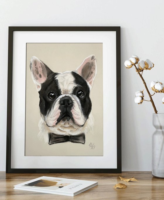 Black and white funny french bulldog