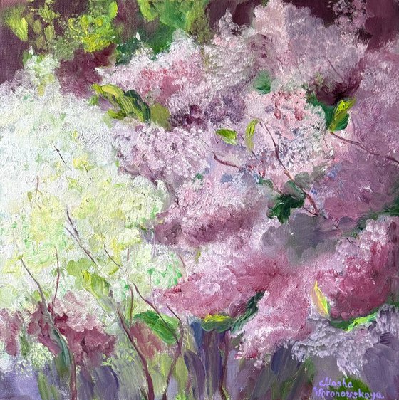 Lilac Reverie