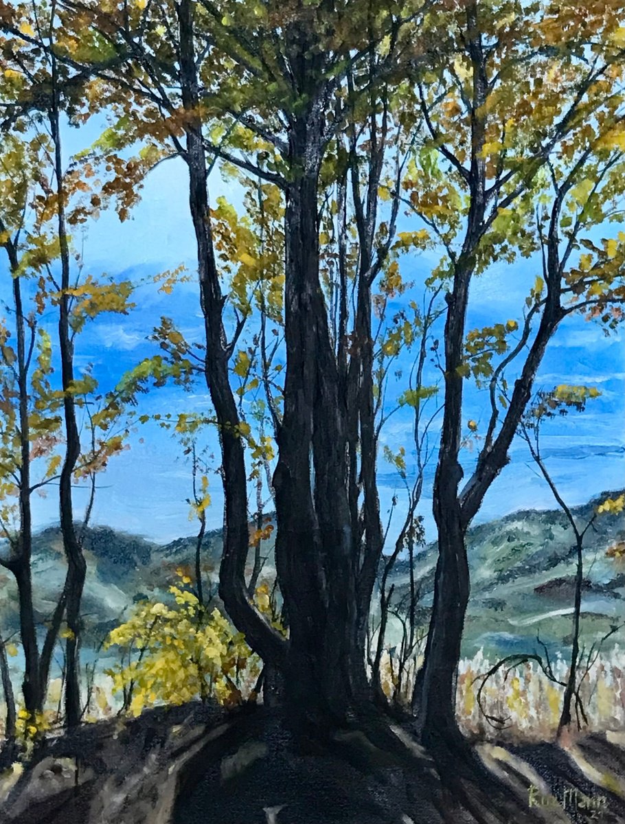 Photorealistic Landscape Oil Painting By Marina Deryagina, 14 X 18", Autumn In Montenegro, Original Artwork