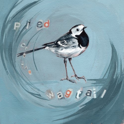 Pied wagtail, Original bird painting, British wildlife, Bird watercolour, Whimsical, watercolor, loose painting, by Anjana Cawdell