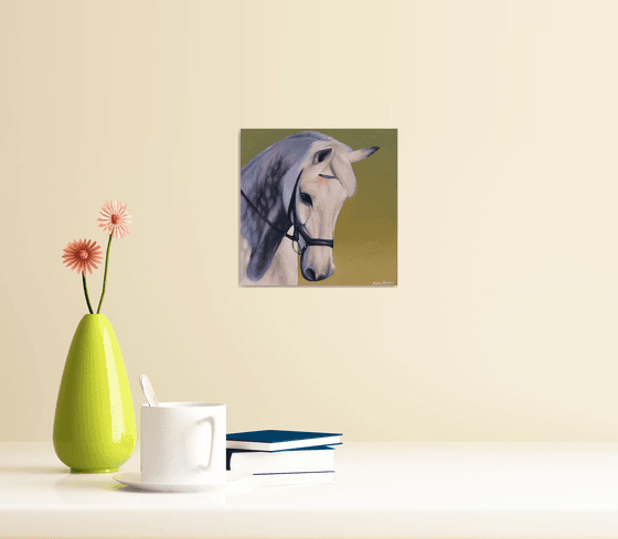 Horse Portrait 91