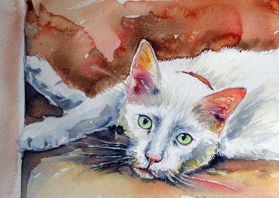 White cat