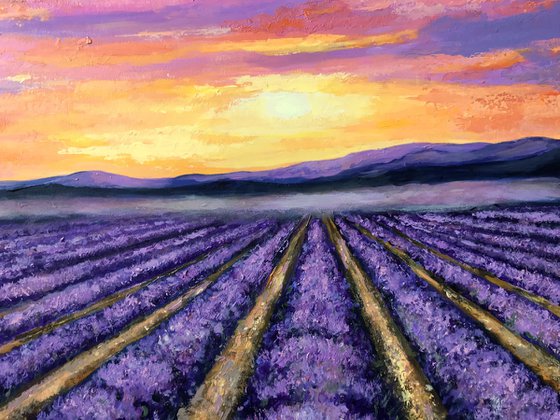 Sunrise over Lavender