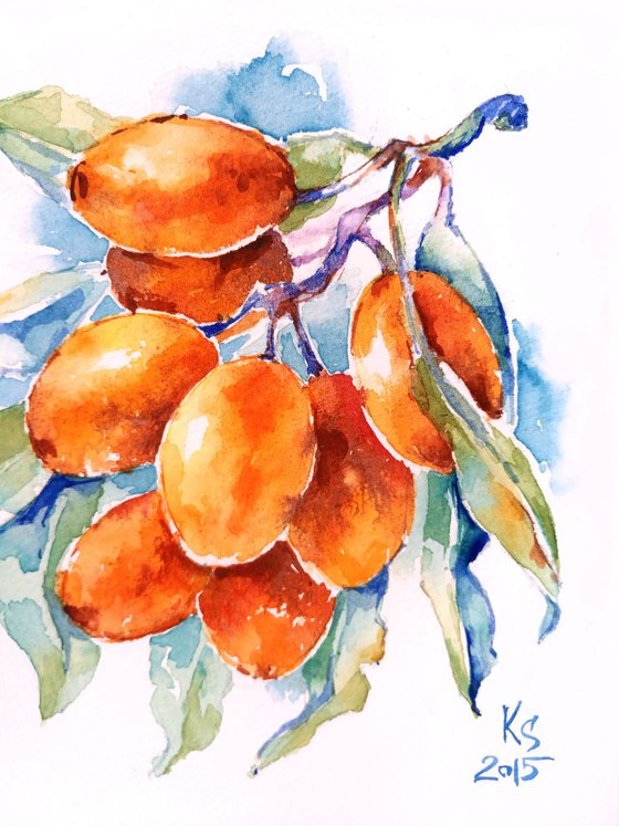 "Sea buckthorn" from the series of watercolor illustrations "Berries"