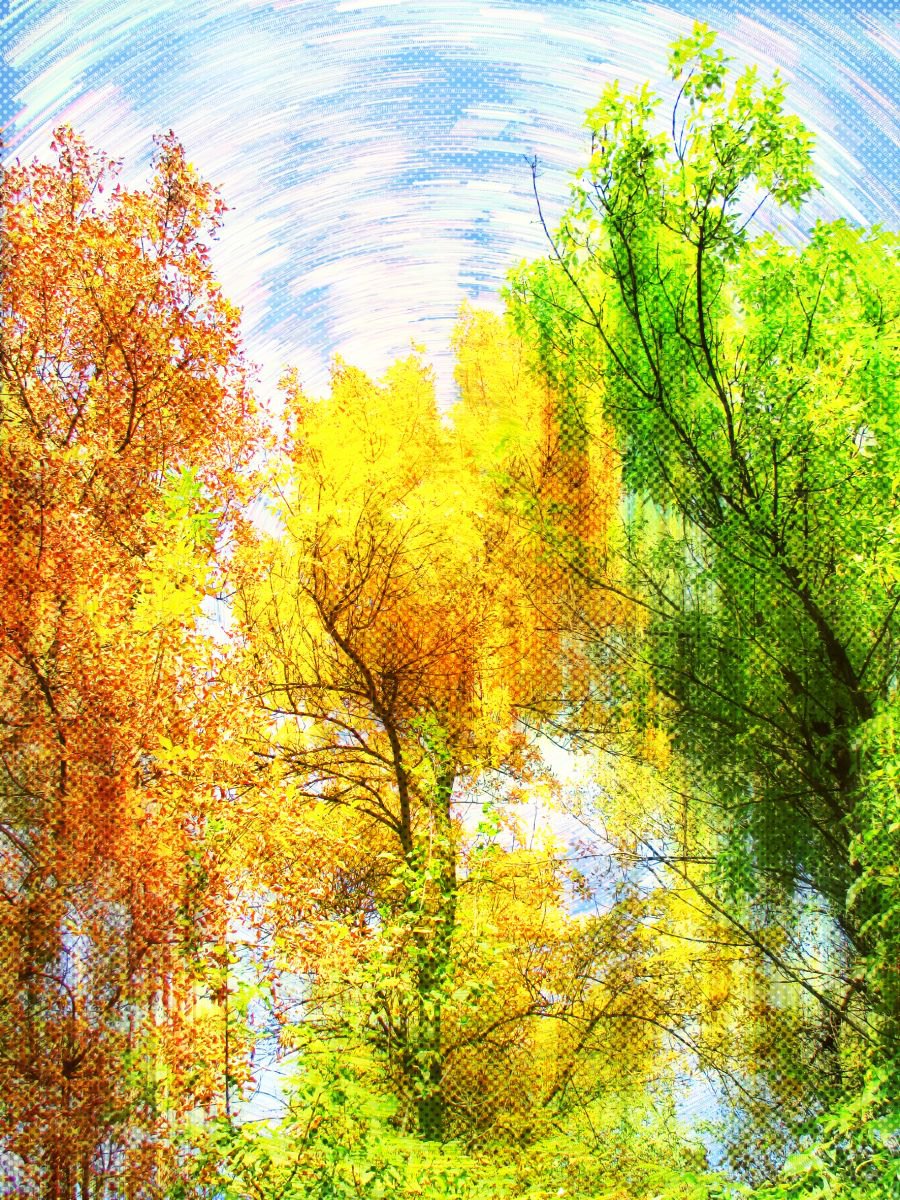 Autumn maelstrom by Julia Gogol