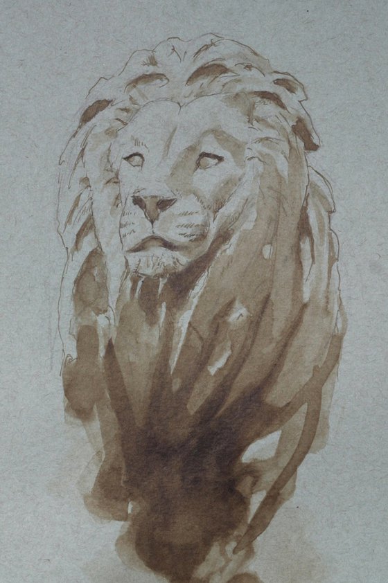 Boston Library Lion in pen & ink wash