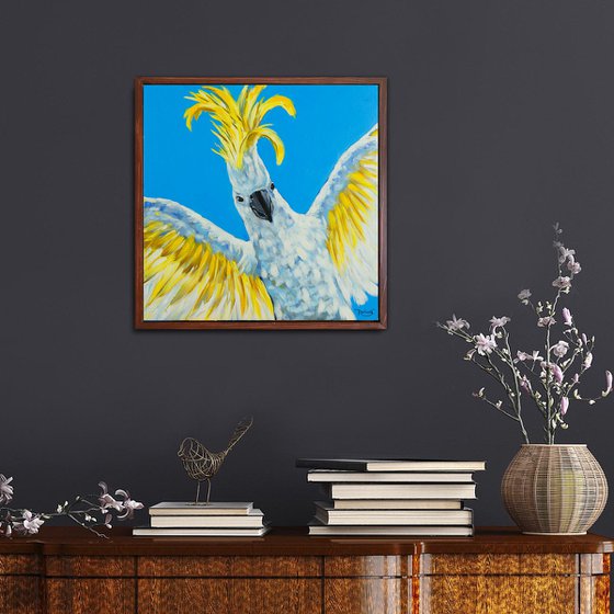 "Party cockatoo" - Sulphur-crested Cockatoo