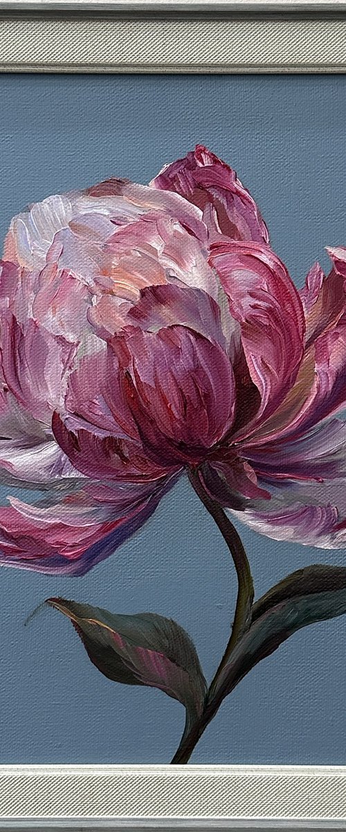 Delicate pink peony by Larisa Batenkova